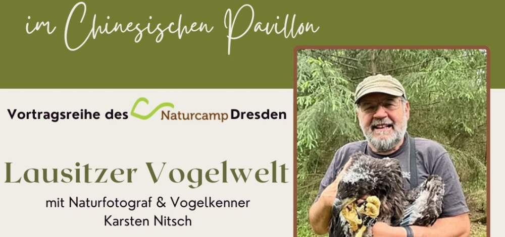 Lausitzer Vogelwelt