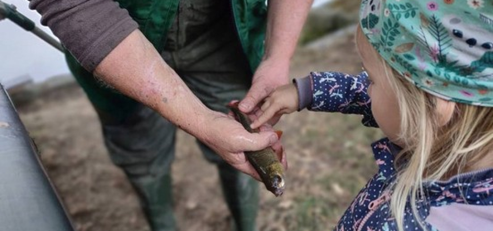 Abfischfest am Inselteich in Radibor