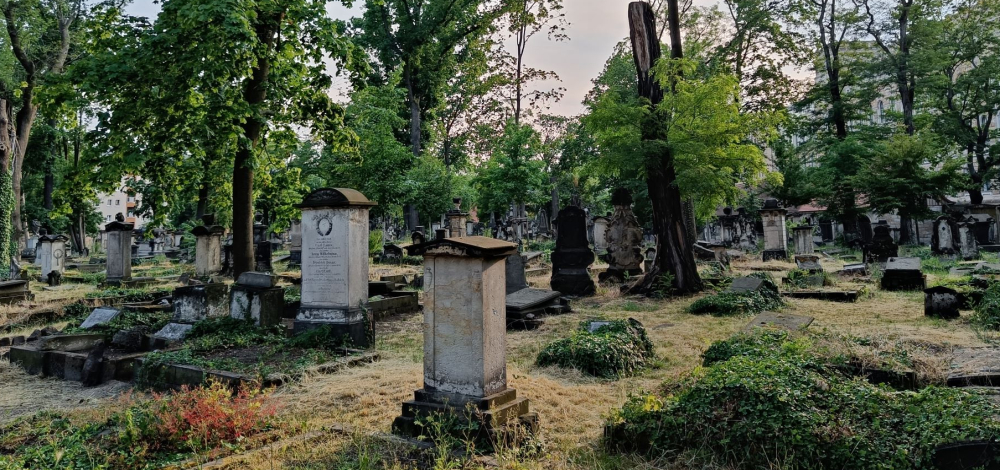 Zwiesprache mit Johanna – Lesung mit der Dresdner Schriftstellerin Uta Hauthal auf dem Eliasfriedhof