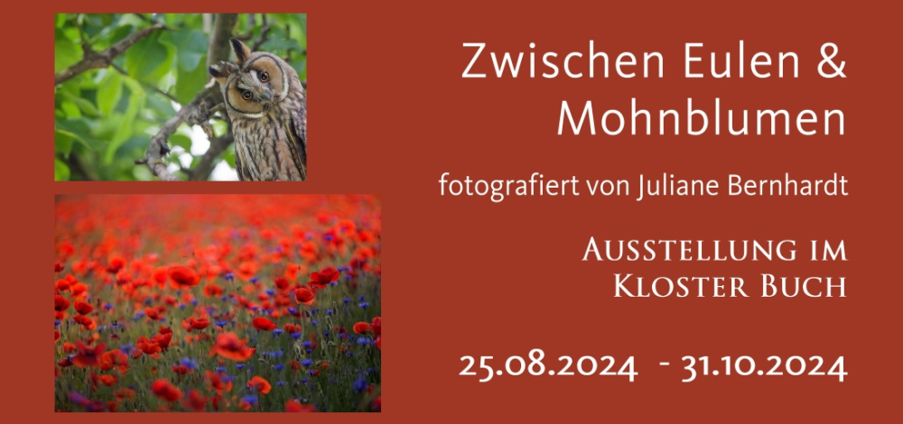 Ausstellung: "Zwischen Eulen & Mohnblumen" fotografiert von Juliane Bernhardt