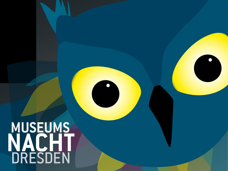 Dresdner Museumsnacht im Pillnitzer Schlossmuseum