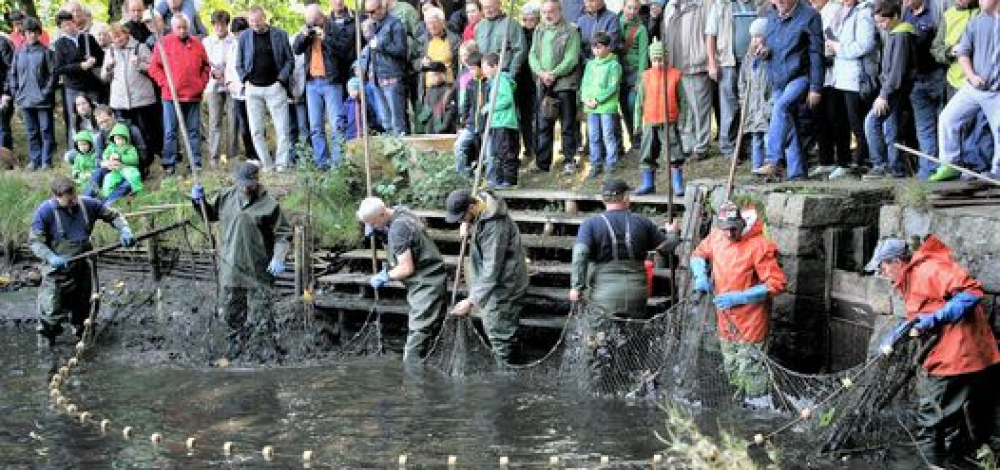 Natur- und Fischerfest Erlichthof