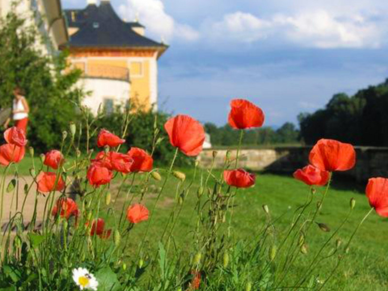 Sonderführung »Carl Gustav Carus in Pillnitz – Auf den Spuren des königlichen Leibarztes«