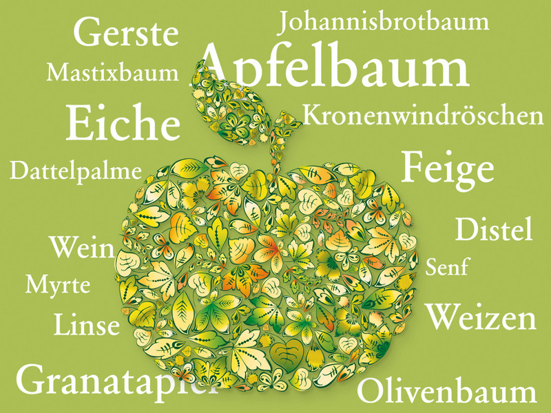 Sonderführung »Pflanzen der Bibel entdecken«