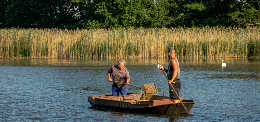 Ferienangebot: Die Jahreszeiten am Teich