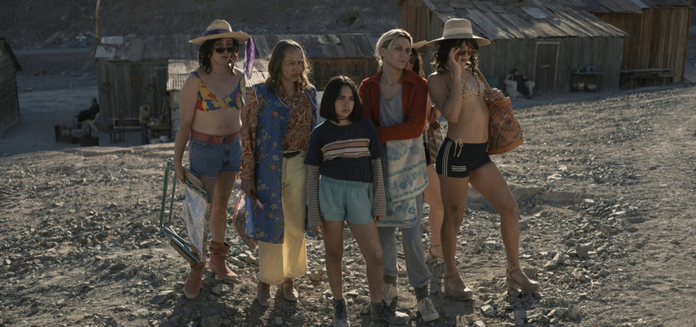 Der geheimnisvolle Blick des Flamingos