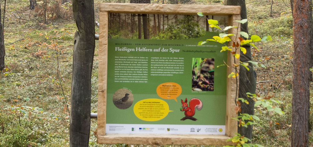 Neißeland Erlebnistage: Vielfältige Landschaften rund um Kreba-Neudorf erleben