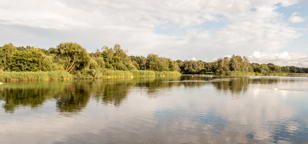 Workshop: Nature Journaling