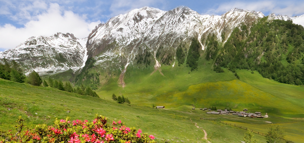 Südtirol - Natur auf alpinen Pfaden