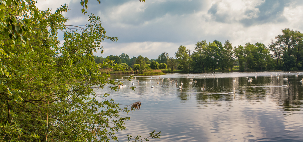 World Cleanup Day: Müllsammelaktion "Saubere Biosphäre"