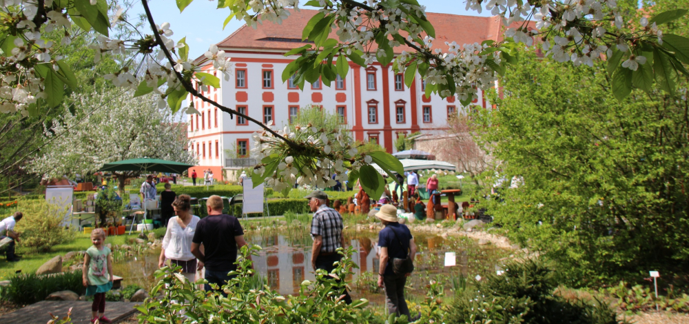 Saisoneröffnung im Klostergarten Kloster St. Marienstern in Panschwitz-Kuckau am Sonntag, dem 26. April 2026 ab 14 Uhr