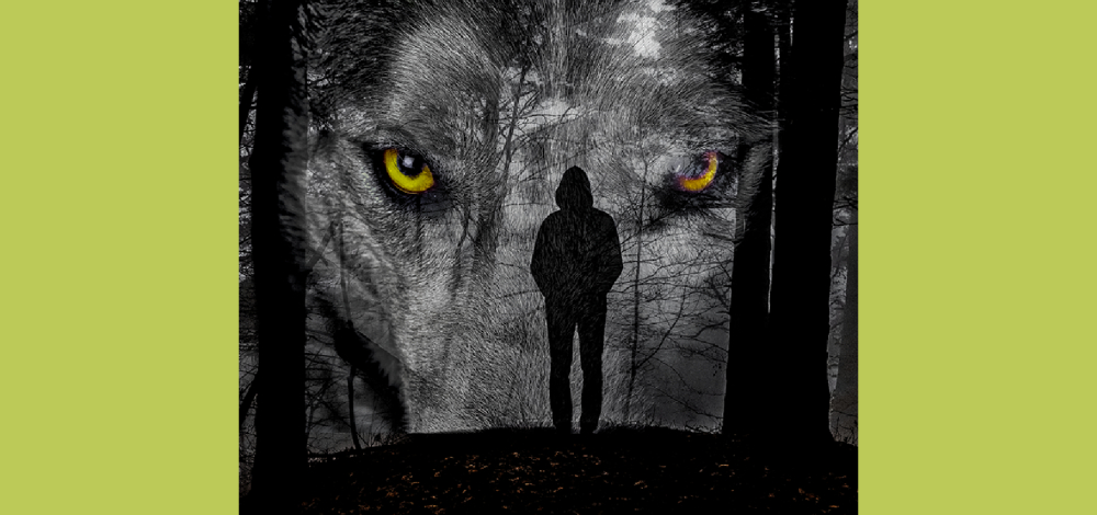 Sonderausstellung: Wald · Wolf · Wildnis