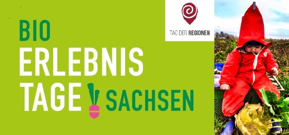 Solidarische Landwirtschaft (Solawi) erleben: Feldbesichtigung, Infos, Gespräche, Gemüse kosten, Mitgärtnern
