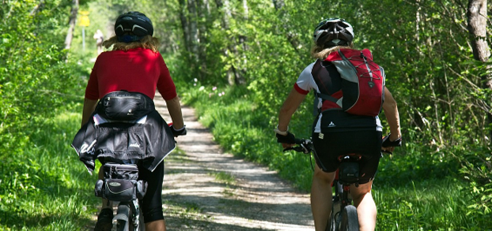 VELO WILDNIS "Auf dem Biberpfad"