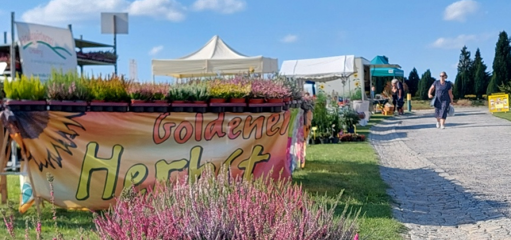 Frühjahrs-Pflanzenmarkt