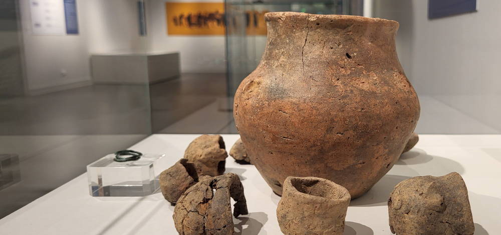 Führung durch die Sonderausstellung "Tod & Ritual. Vorgeschichtliche Bestattungen auf dem Schafberg in Niederkaina"
