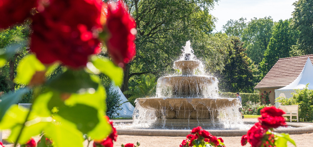Saisoneröffnung im Ostdeutschen Rosengarten Forst (Lausitz)