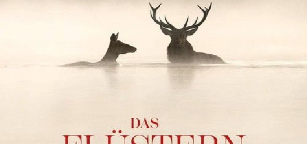 Das Flüstern der Wälder