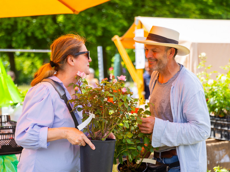 Pillnitzer Gartenwochenende