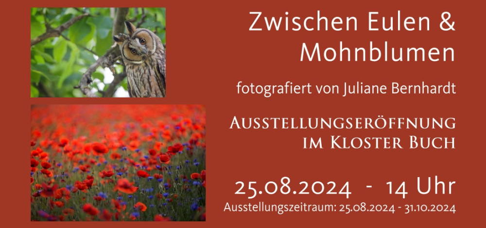 Ausstellungseröffnung: "Zwischen Eulen & Mohnblumen" fotografiert von Juliane Bernhardt