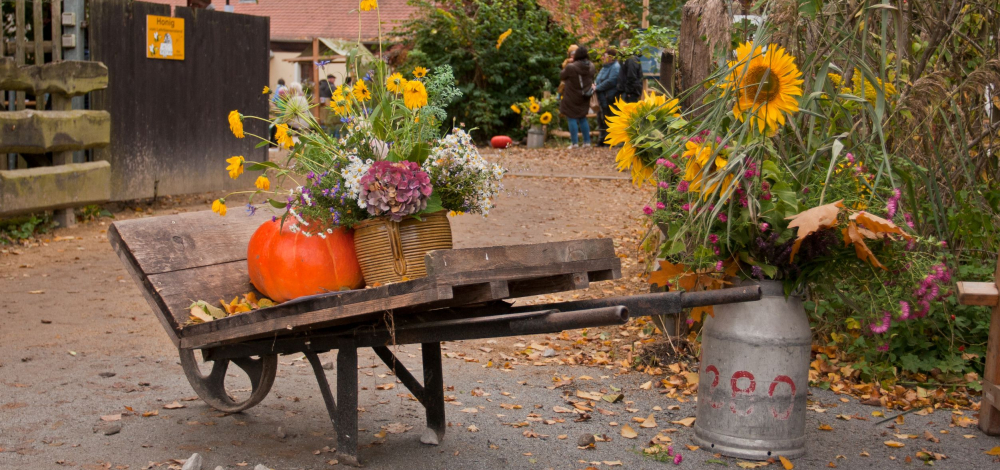 Traditionelles Herbstfest auf dem Fischereihof Kleinholscha