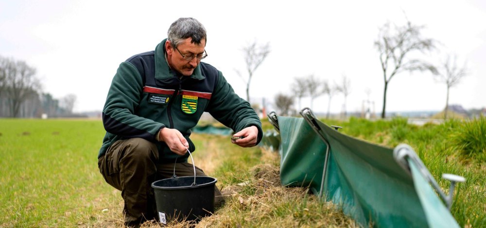 Praktischer Artenschutz am Amphibienzaun