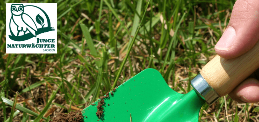 Wild, grün, lebendig - Hecken für die Natur | Praxistag der Jungen Naturwächter (JuNa)