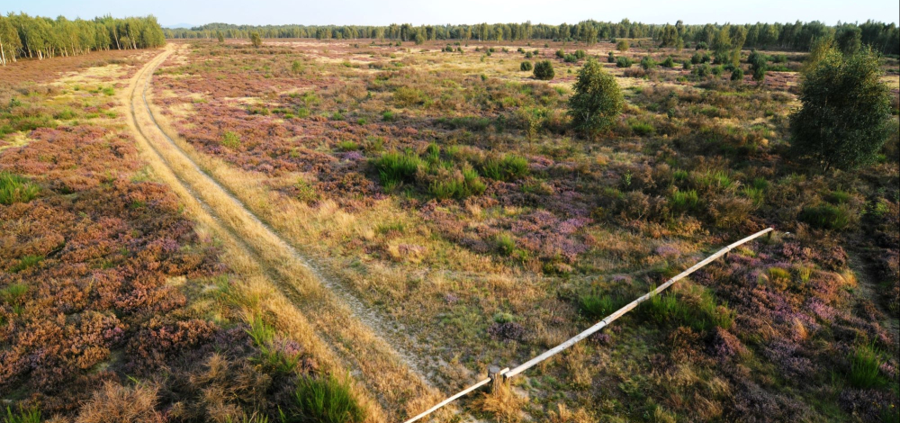 WILDE WANDERUNG "Ab in die Heide"