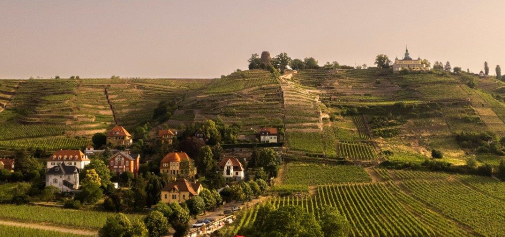 Tag des offenen Weinberges