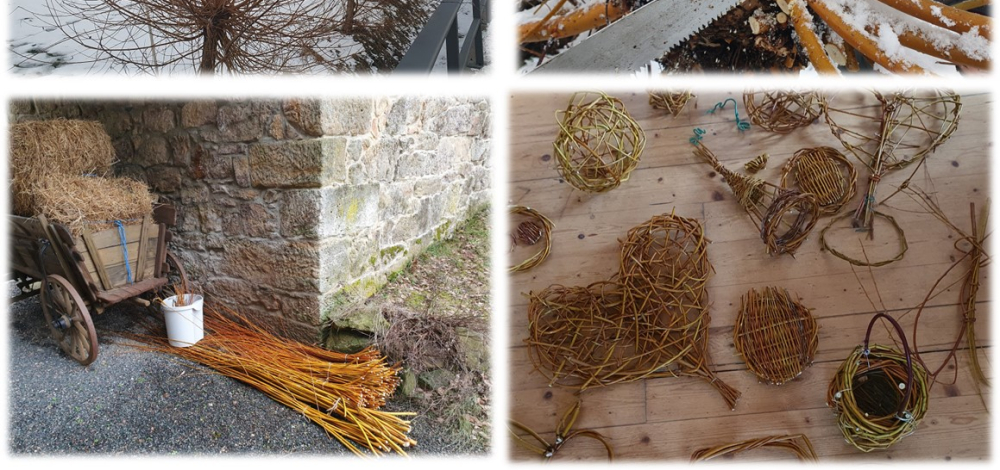 Naturtag (JuNa) »Weidenschnitt- & Bastelei«