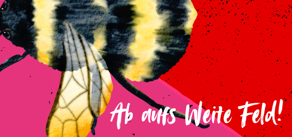 Weites Feld Festival