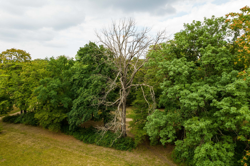 Führungen für Schülergruppen: Den Klimawandel praktisch begreifbar machen