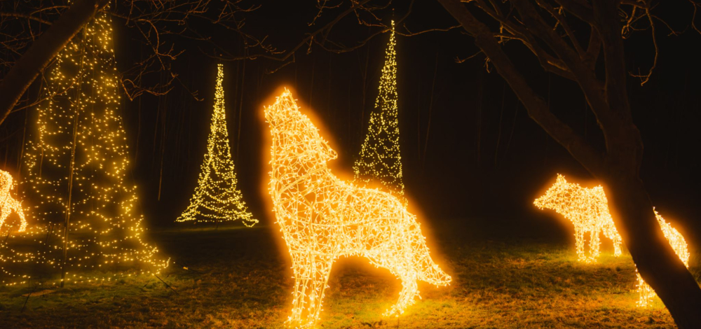 Weihnachtsferien im Sonnenlandpark Lichtenau