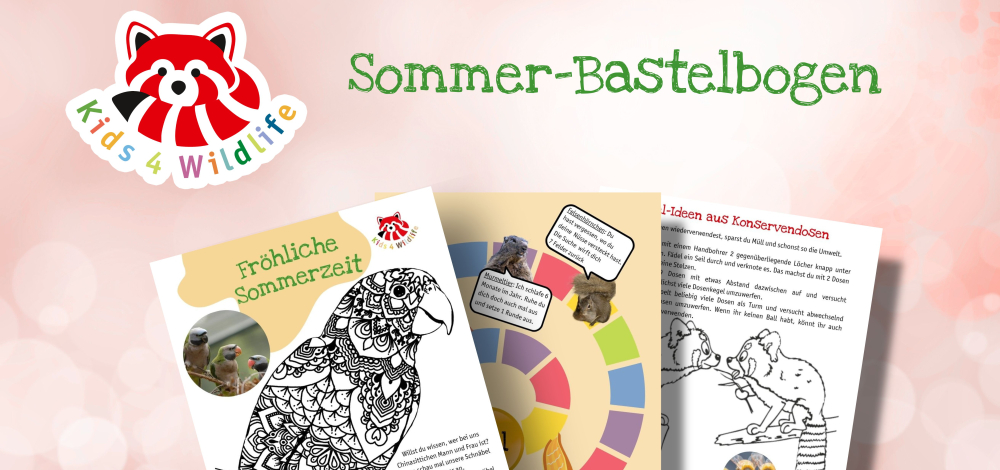 Sommer-Spiel- und Bastelbogen im Tierpark Görlitz