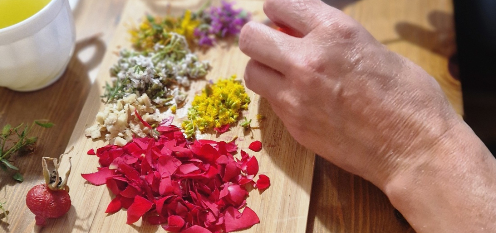 Tageskurs - Pflege aus der Pflanzenküche – Naturkosmetik für den Winter - in Altenhof