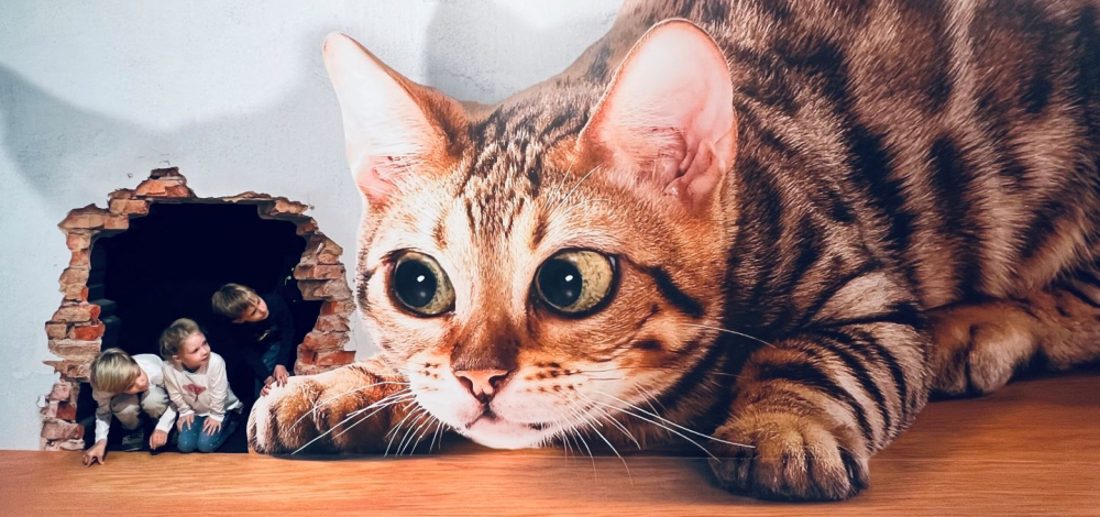 Die Illusionswelt Ausstellung in Oskarshausen (Freital)