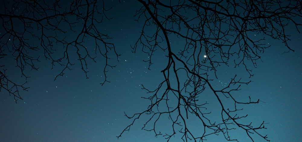 EXPEDITION WILDNIS Sternenwanderung am Zochauer Heidepfad