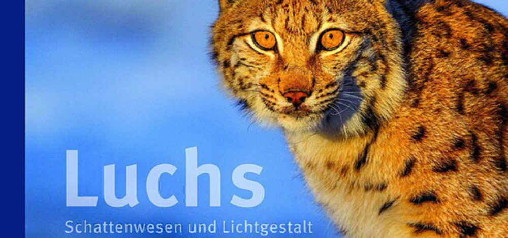 Luchs - Schattenwesen und Lichtgestalt