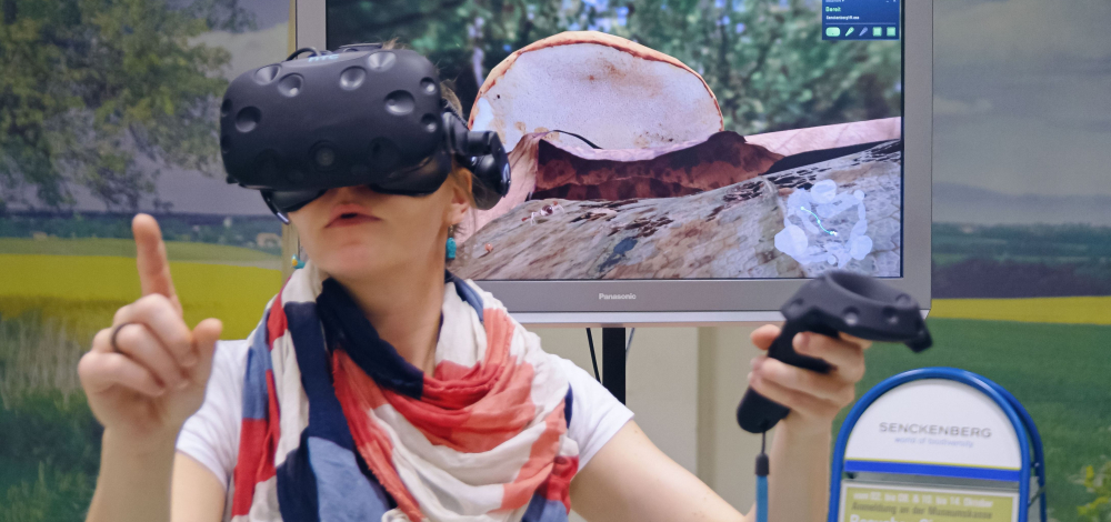 Herbstferienprogramm | Virtual Reality „Abenteuer Bodenleben“