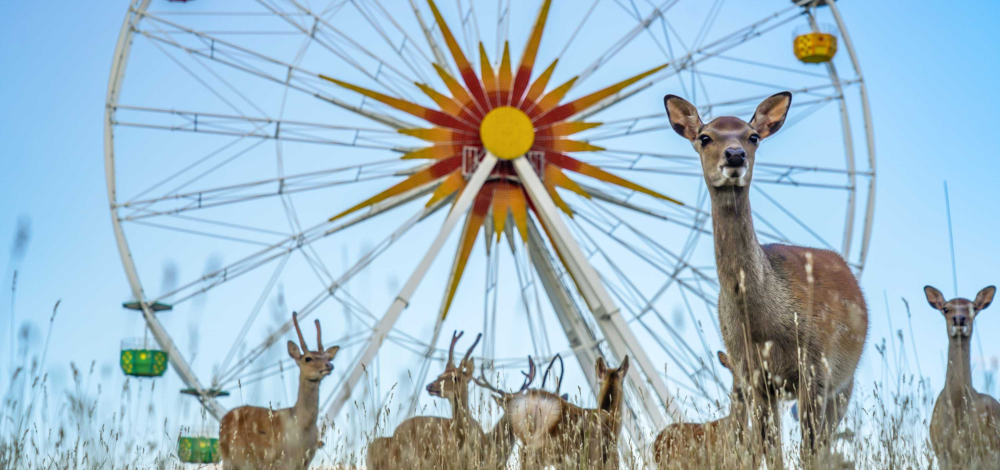 Ende Sommersaison im Sonnenlandpark 2026