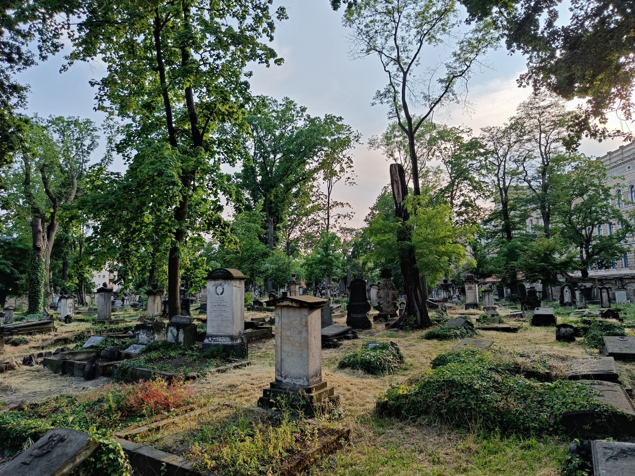Spuren der Zeit. Geführter Rundgang über den Eliasfriedhof