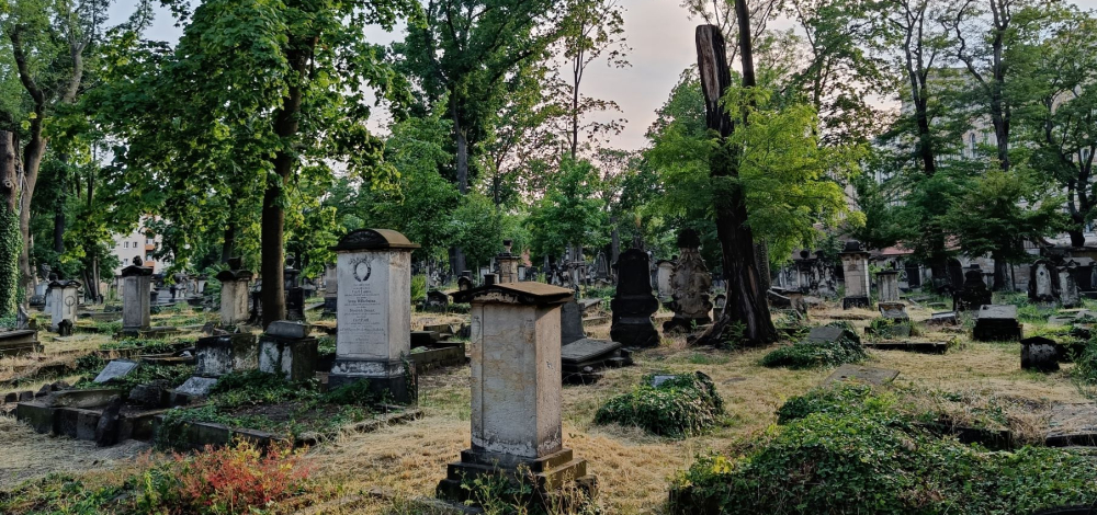 Spuren der Zeit. Geführter Rundgang über den Eliasfriedhof