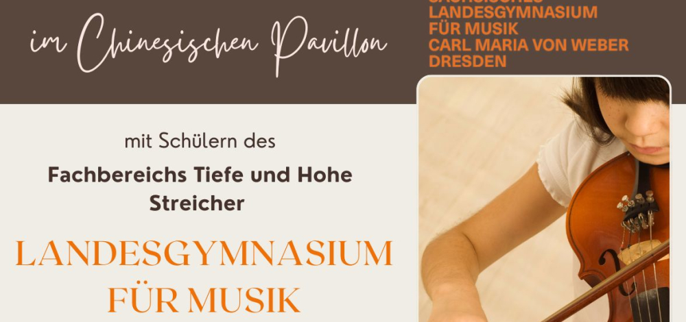 CONCERTO - Violinen und Celli