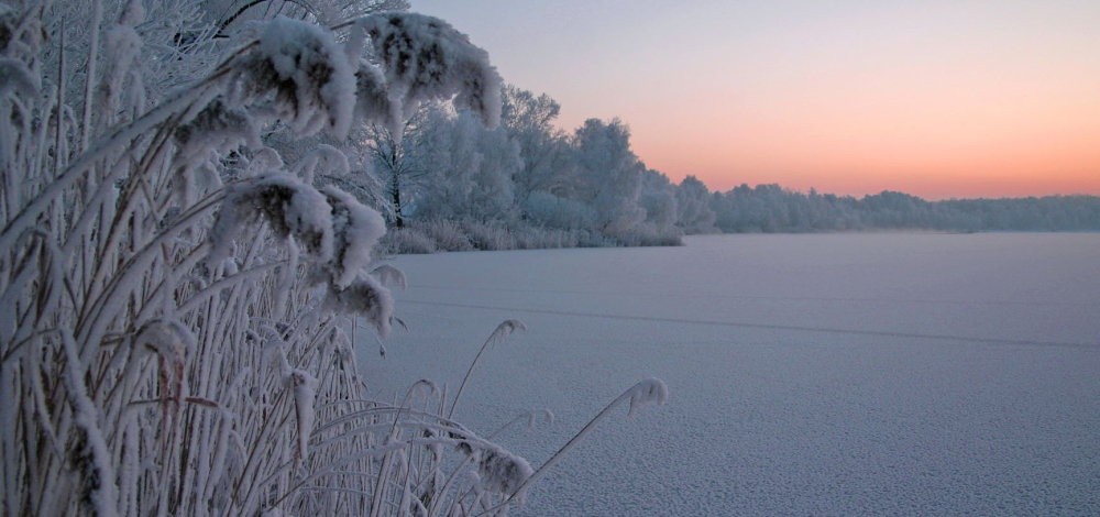 Winterimpressionen in der Teichgruppe Guttau