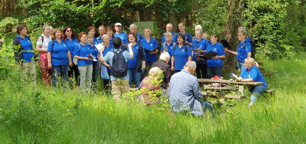 Wanderung auf den Wegen der Lieder durch den Tharandter Wald