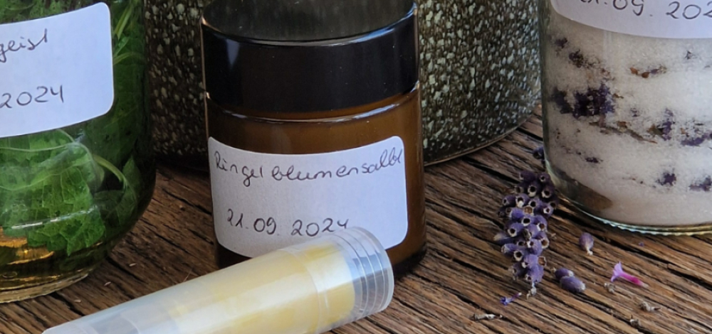 Tageskurs - Heilsalben & Naturrezepte mit Wildkräutern für den Herbst - in Altenhof