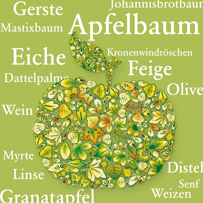 Sonderführung »Pflanzen der Bibel entdecken«
