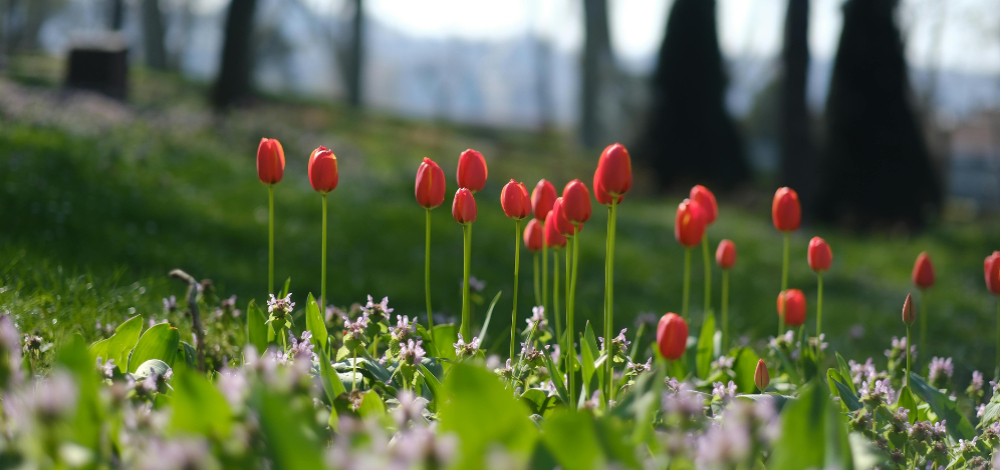 Osterspaziergang mit der Marktfrau Marie