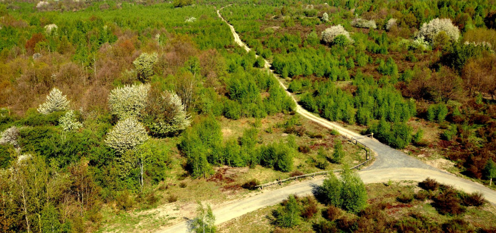 Vortrag: Wilde Heimat Lausitz