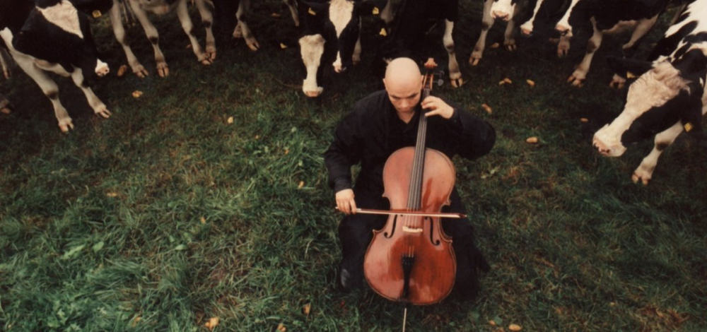 Wolfram Huschke (D)